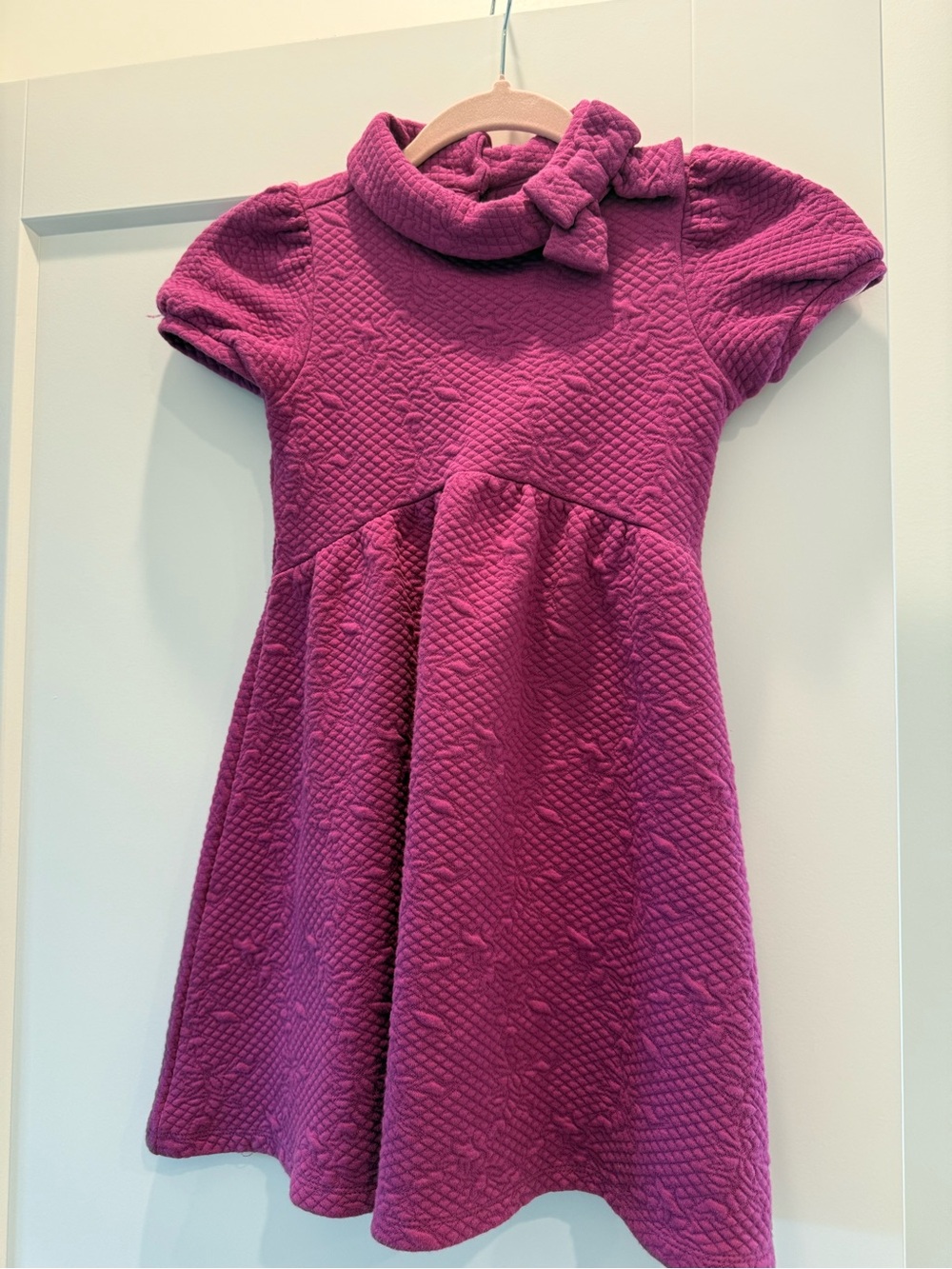 Janie and Jack Raspberry Textured Bow Collar Dress